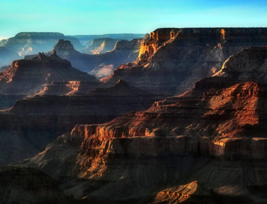 Novi Adventure Tours