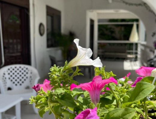 Villa Vita, Sutomore